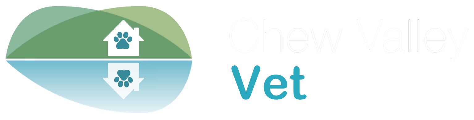 Chew Valley Vet 